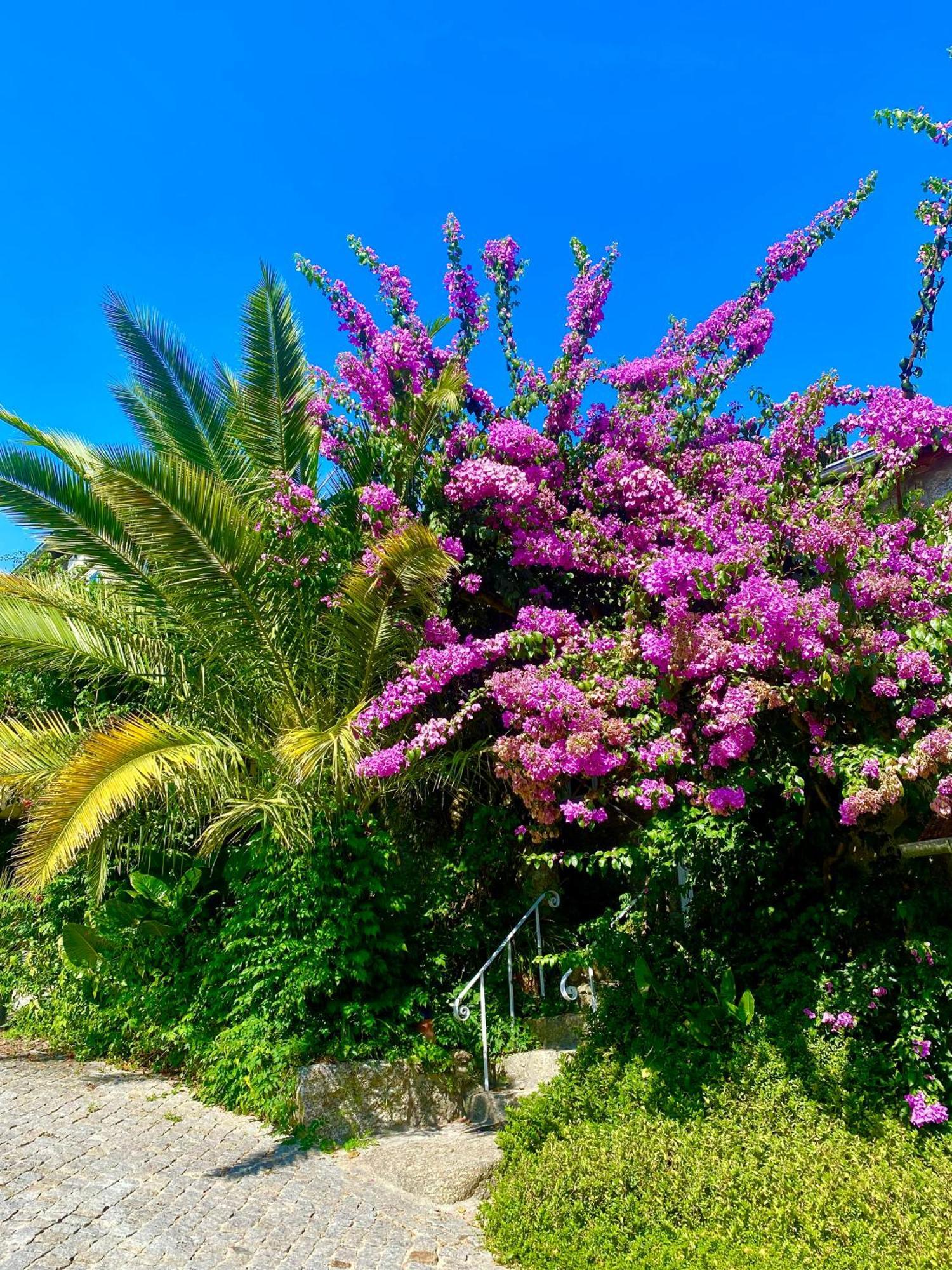 Quinta De Ribas Villa Amarante Buitenkant foto