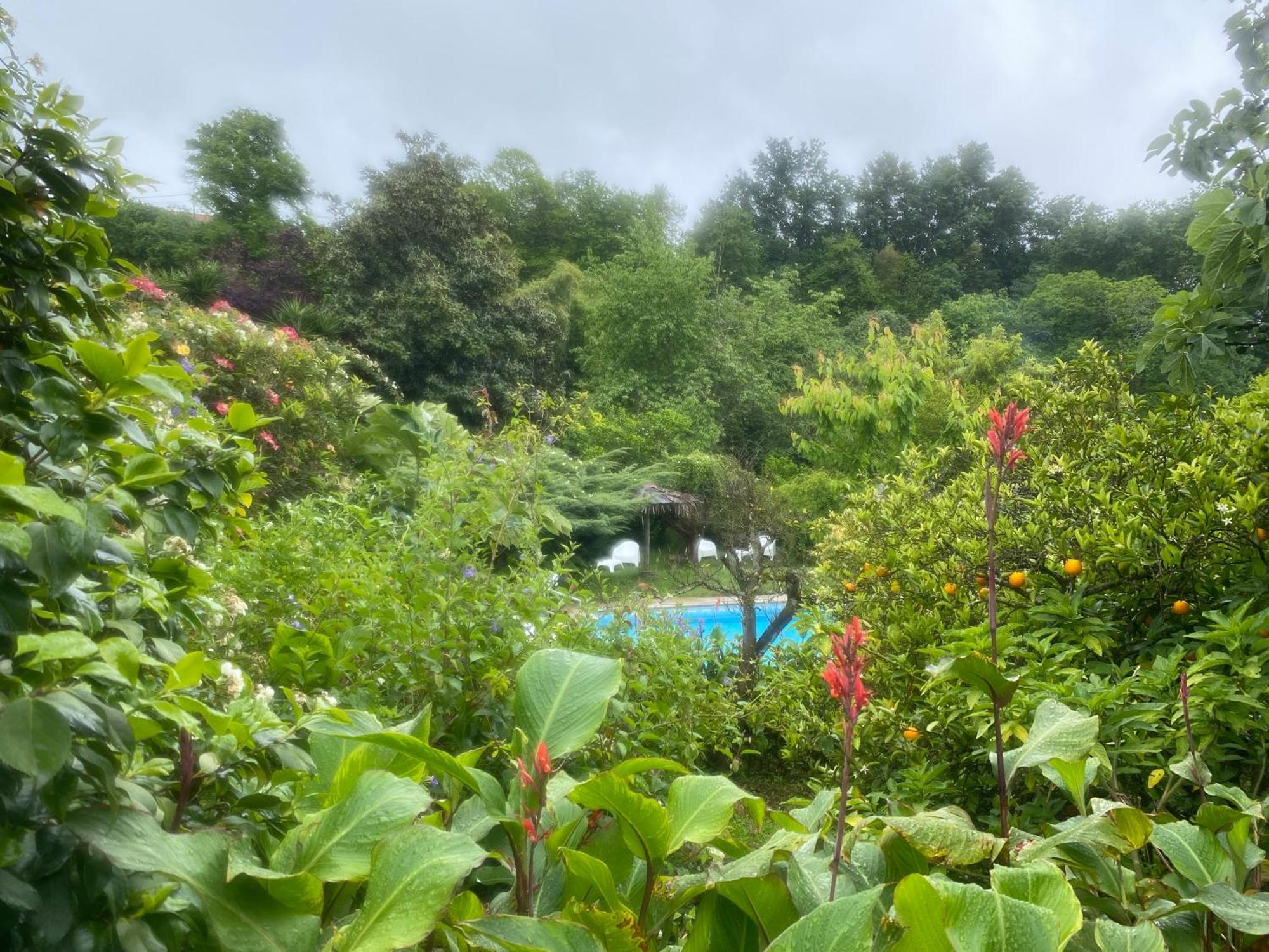 Quinta De Ribas Villa Amarante Buitenkant foto