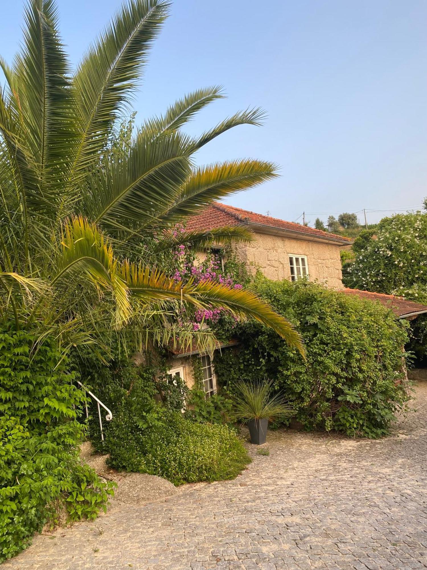 Quinta De Ribas Villa Amarante Buitenkant foto